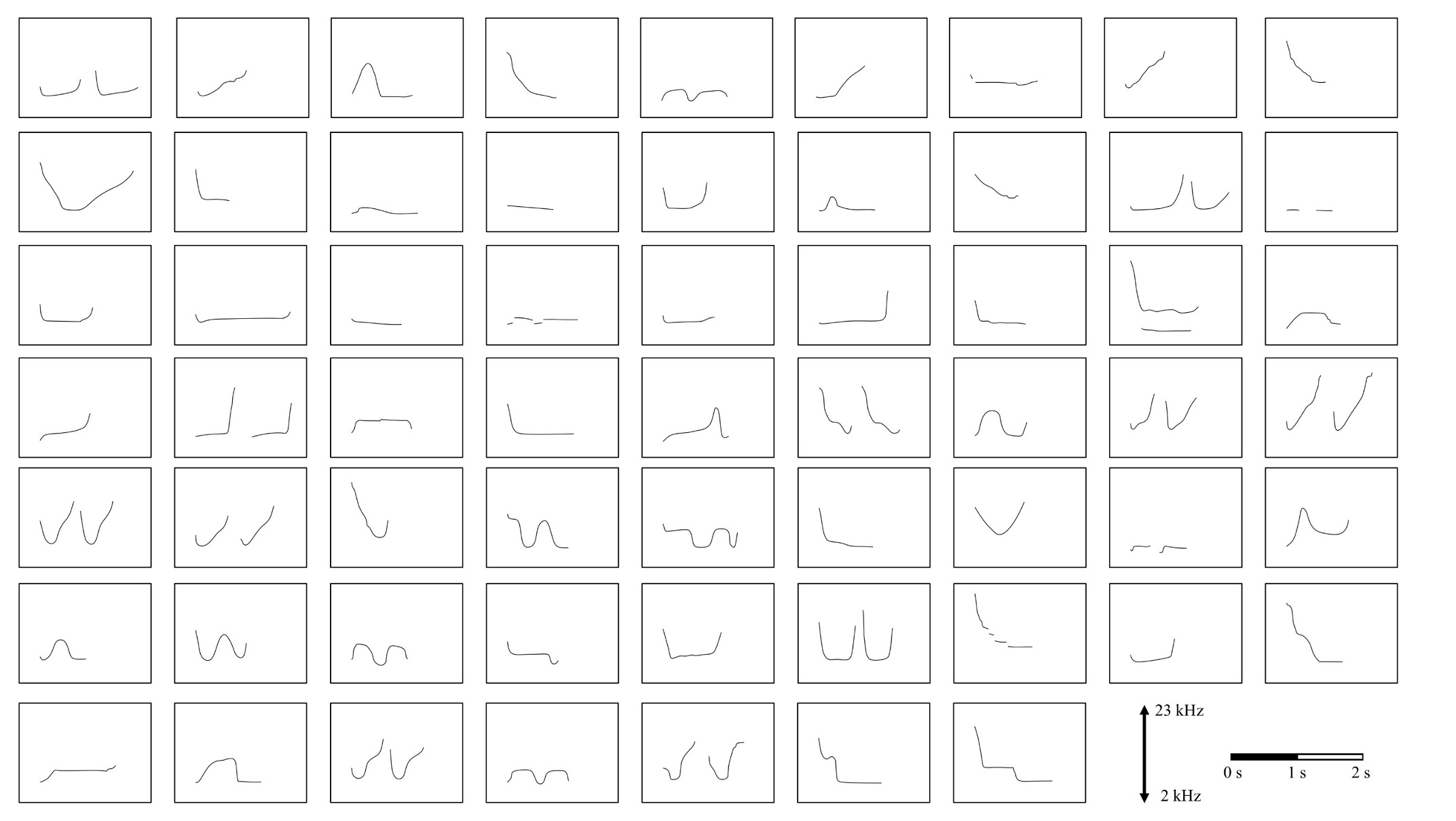 Signature whistle patterns of Indo-Pacific bottlenose dolphins in Jeju Island